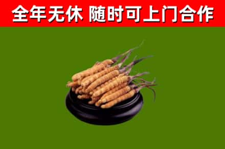 称多烟酒回收冬虫夏草.jpg